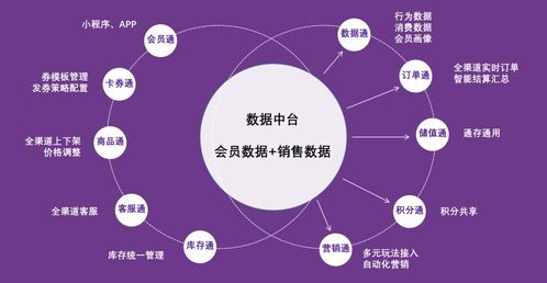 紫日軟件導(dǎo)購?fù)?.0 直連消費(fèi)者，驅(qū)動銷量暴漲的智能銷售解決方案